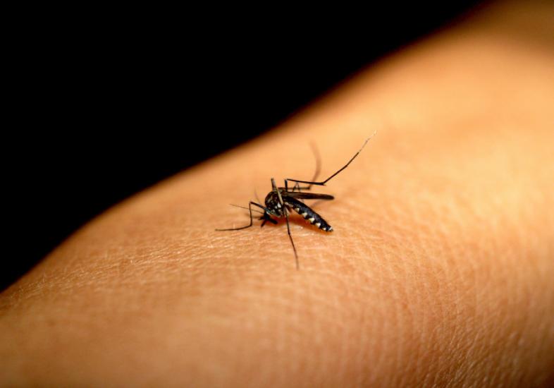 Laboratório público do RN fará diagnóstico de&nbsp;Zika