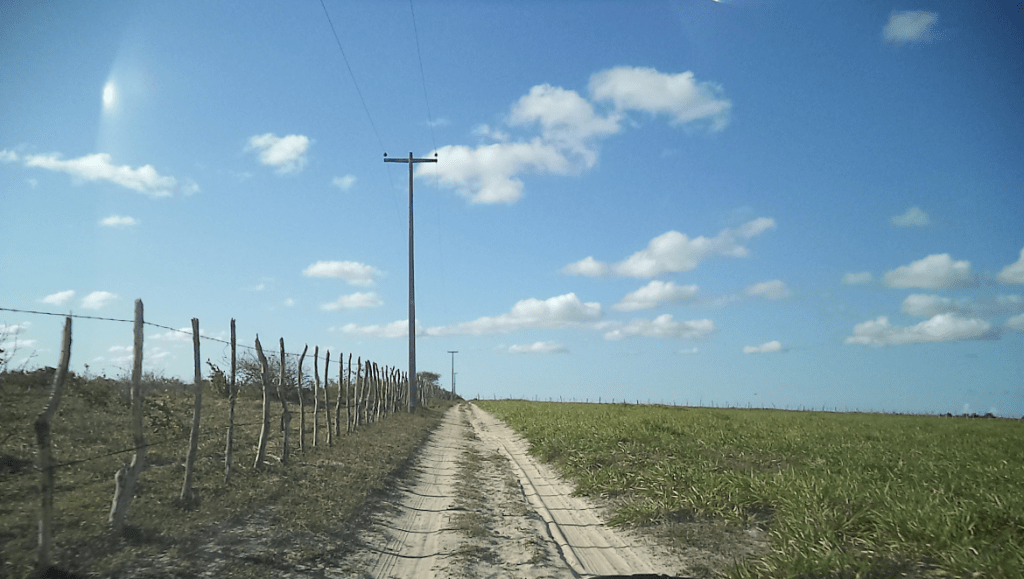 Cosern alerta para o risco de queimadas perto da rede&nbsp;elétrica