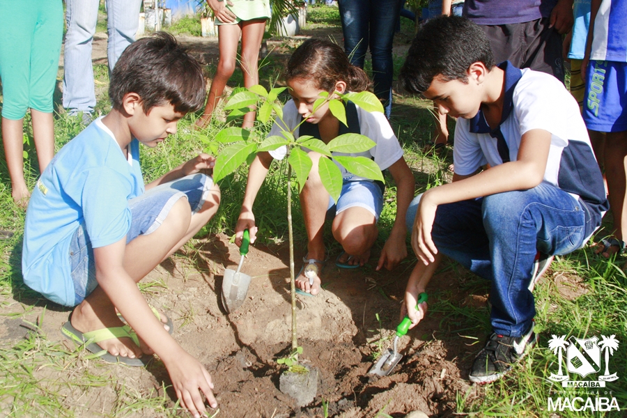 Crianças participam de atividades sobre o meio ambiente em&nbsp;Macaíba
