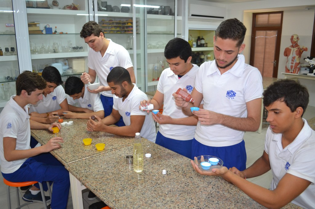 Estudantes criam pastilha contra mosquito Aedes&nbsp;aegypti