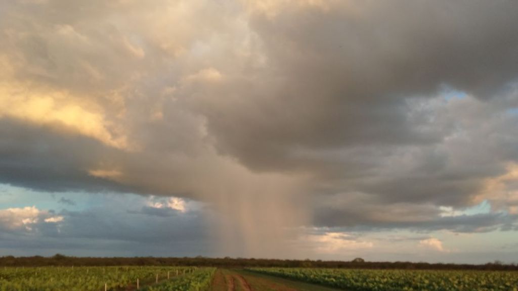 Emparn confirma chuvas acima da média no Rio Grande do&nbsp;Norte