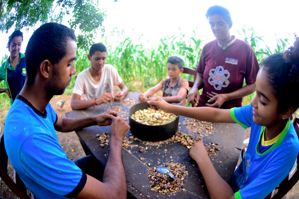 As raízes de uma cultura: Agricultura Familiar como meio de subsistência e de&nbsp;autonomia