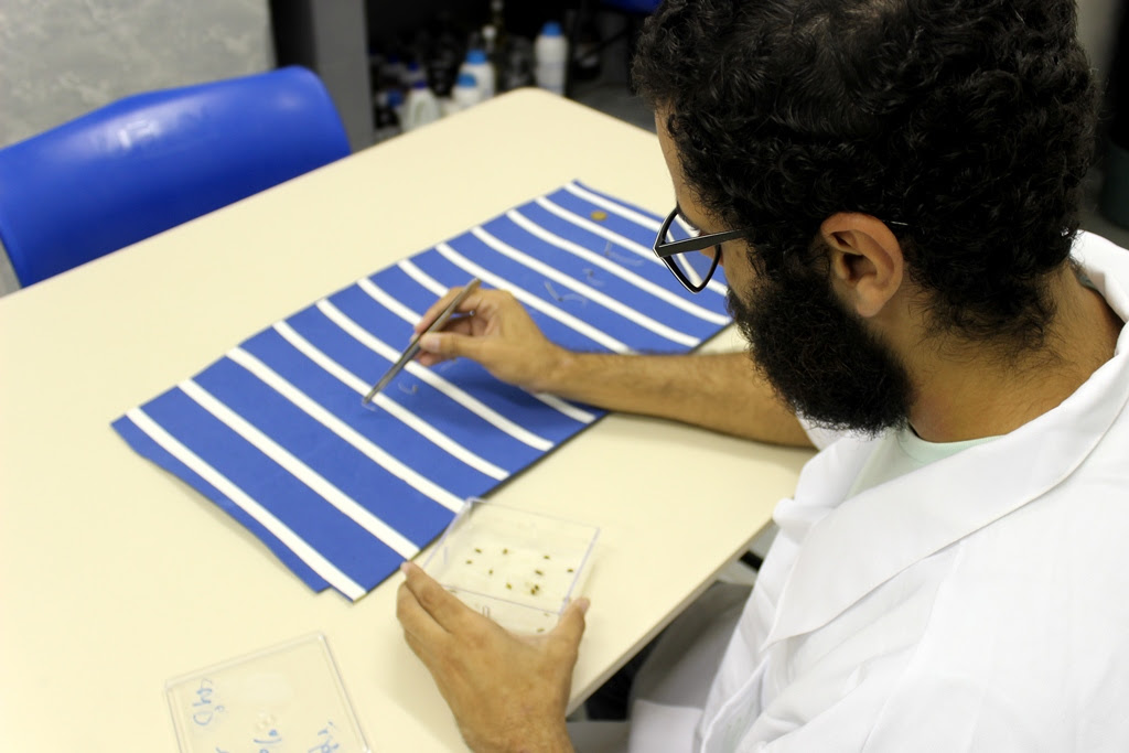 UFRN investe no desenvolvimento tecnológico para as ciências&nbsp;agrárias