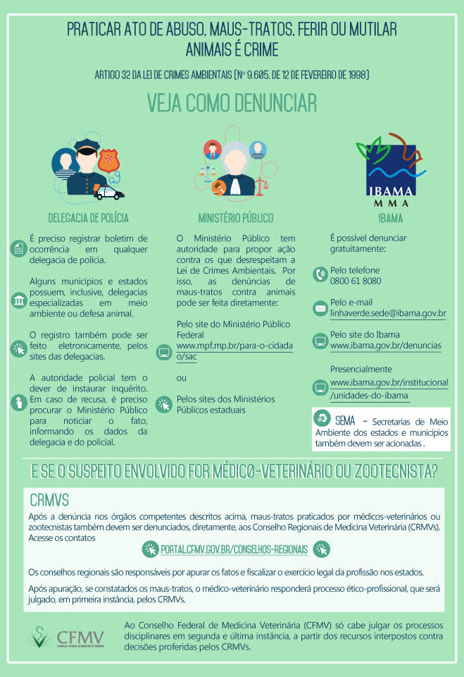 Veja como denunciar maus-tratos praticados contra&nbsp;animais