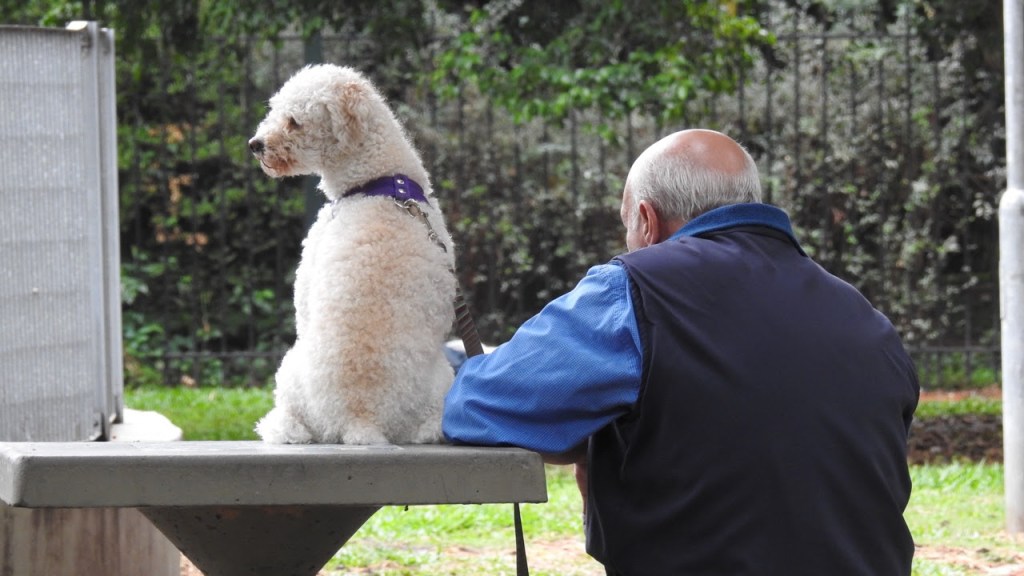 UFRN cria Instituto do Envelhecer com intuito de articular ações em benefício da população&nbsp;idosa