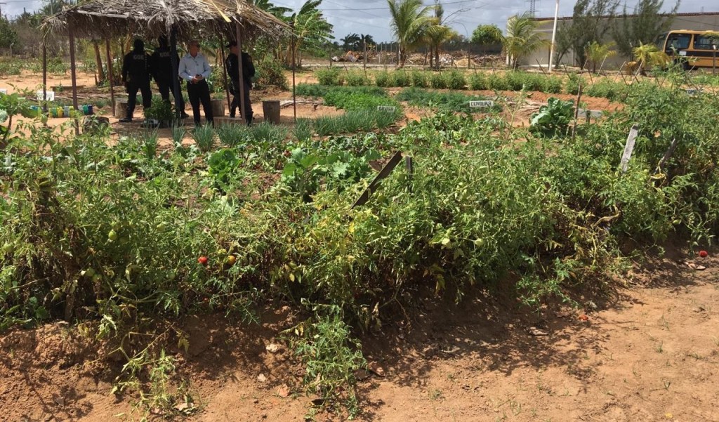 Esperança que nasce: apenados de horta comunitária realizam confraternização