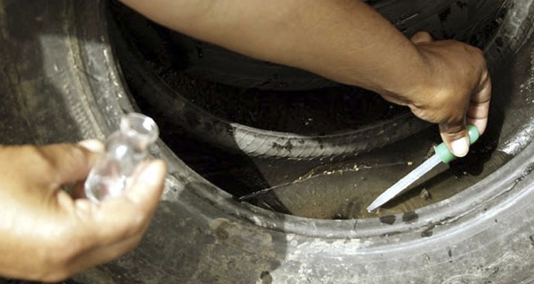 Cresce em 264% o número de casos de dengue no&nbsp;país