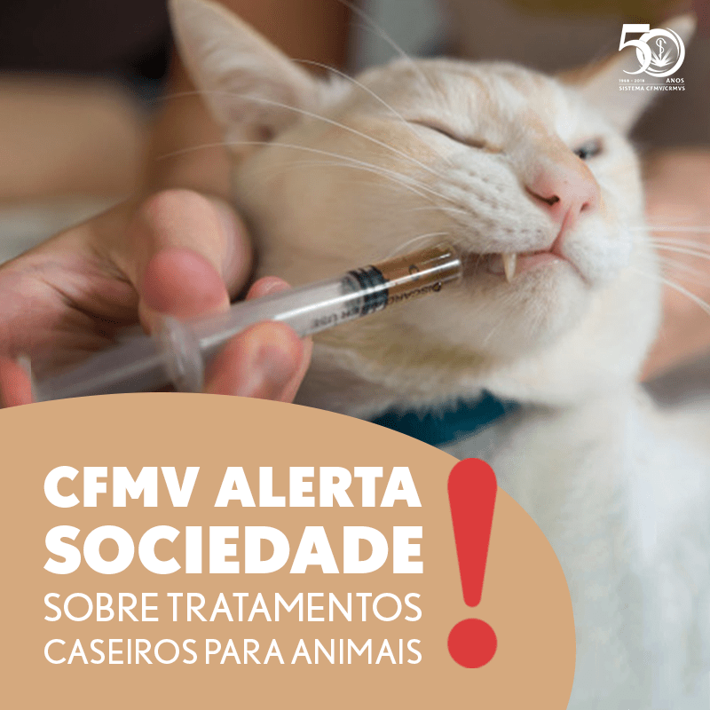 Medicina Veterinária: CFMV alerta sociedade sobre os tratamentos caseiros para&nbsp;animais