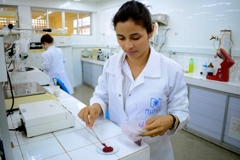 Pesquisa desenvolve polpa de fruta em pó com propriedades&nbsp;naturais