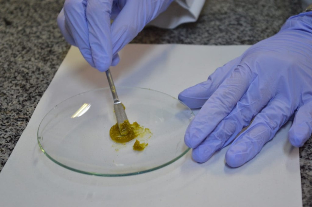 UFRN produz gel anti-inflamatório a partir de plantas da&nbsp;caatingas