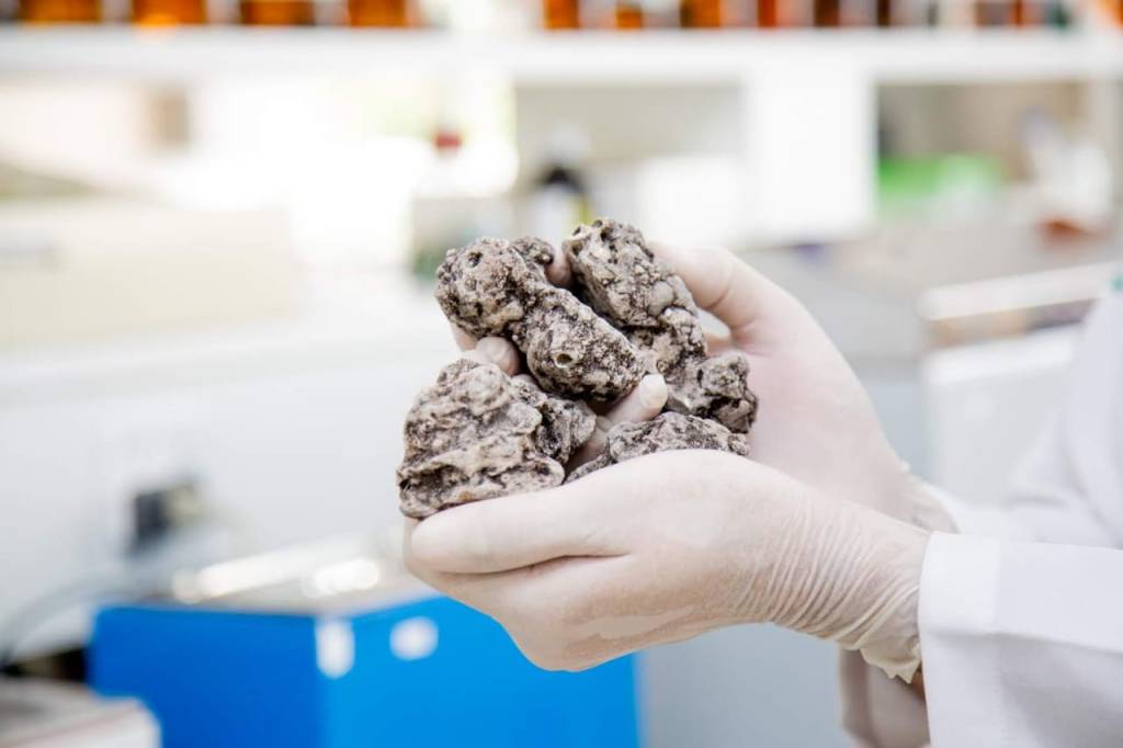 Não fique parado: UFRN desenvolve novo produto para&nbsp;obesidade