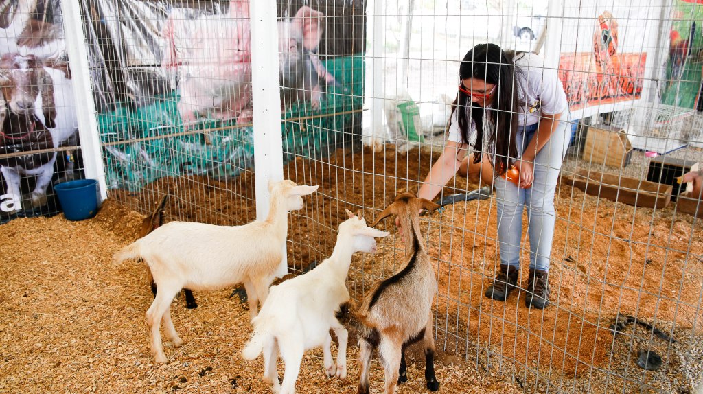 Projeto da EAJ vai realizar diagnóstico situacional dos criadores de leite de cabra do&nbsp;Estado