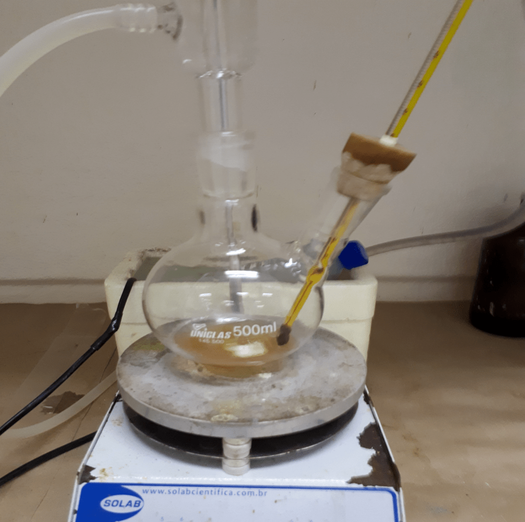 Tangerina dá como fruto um processo inovador na obtenção de&nbsp;biocombustível