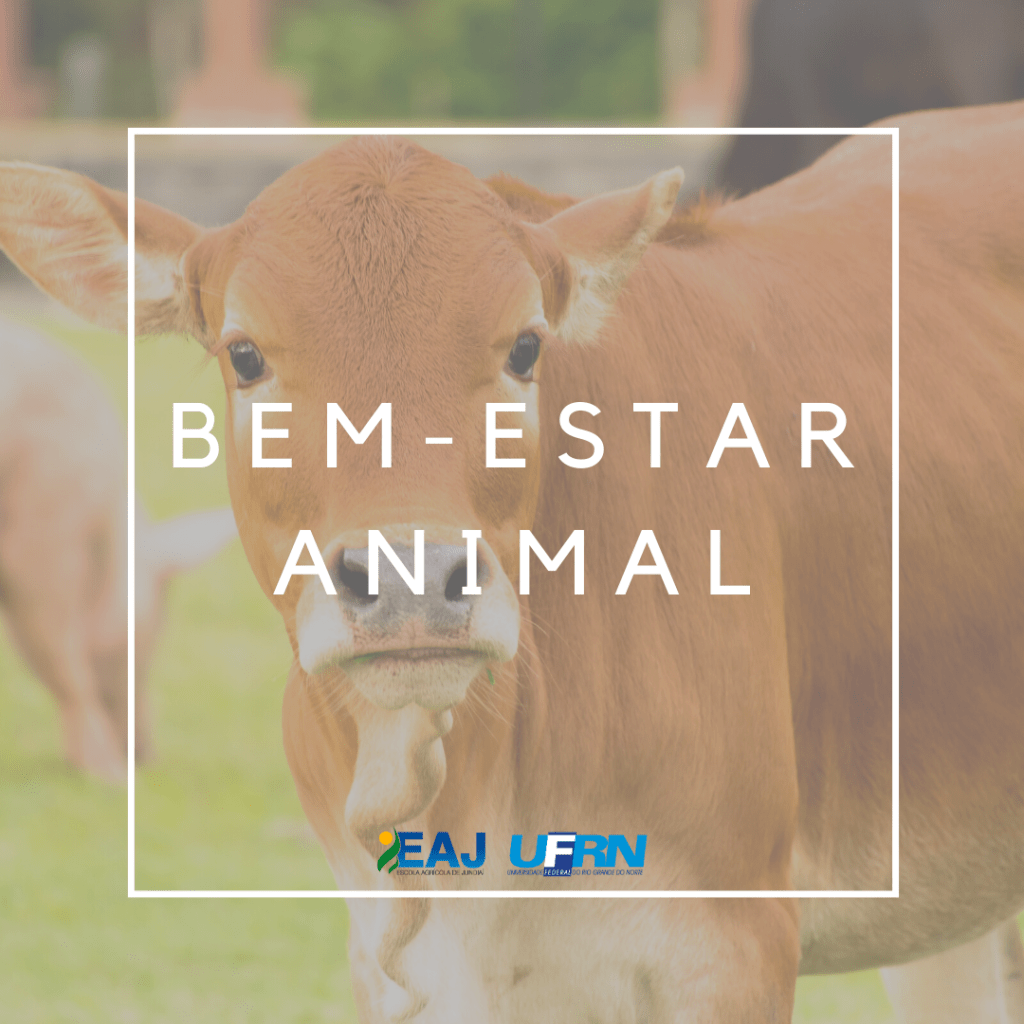 Projeto de extensão da EAJ leva capacitação sobre bem-estar animal a professores do ensino&nbsp;básico