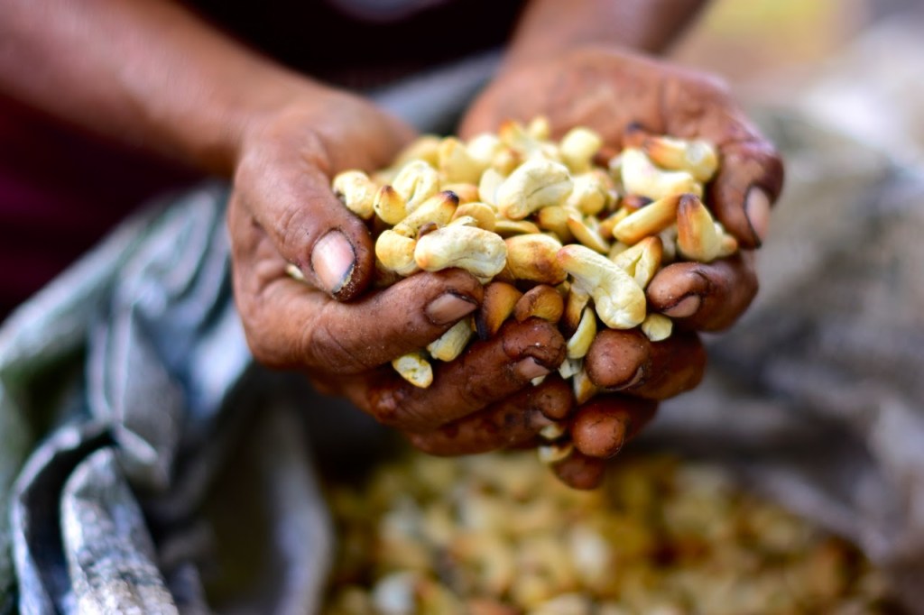 PotiRural: projeto visa criação de espaço para produtores rurais na&nbsp;web