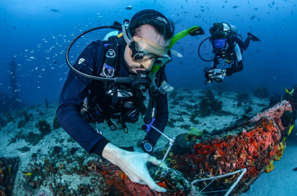 Segunda expedição para remover espécie invasora no litoral do&nbsp;RN