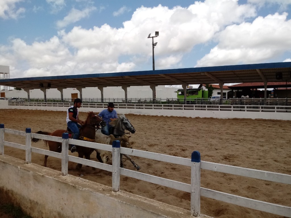 Portaria libera vaquejadas no Rio Grande do Norte; eventos serão realizados sem presença de&nbsp;público