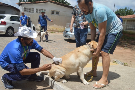 Cães e gatos: Natal antecipa campanha de vacinação antirrábica para segunda-feira, 16 de&nbsp;agosto