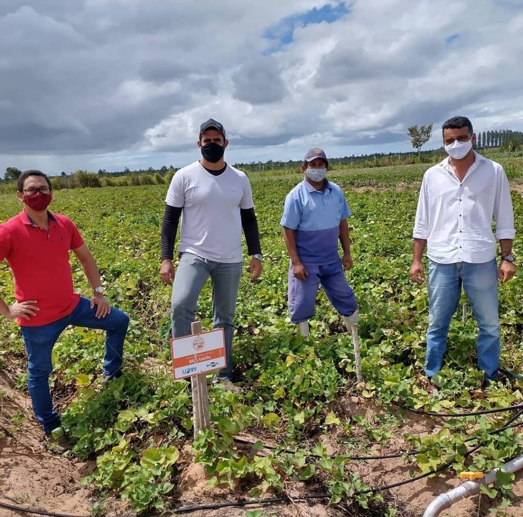 Engenheiros agrônomos da Escola Agrícola de Jundiaí realizam atividade para disseminar cultivares biofortificadas no&nbsp;RN