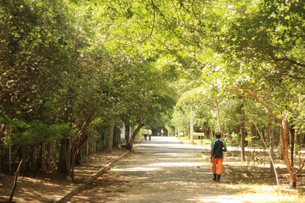 Plantio de mudas marca Dia da Árvore no Parque das Dunas; Ação representa a VI edição da Campanha Bosques da&nbsp;Memória