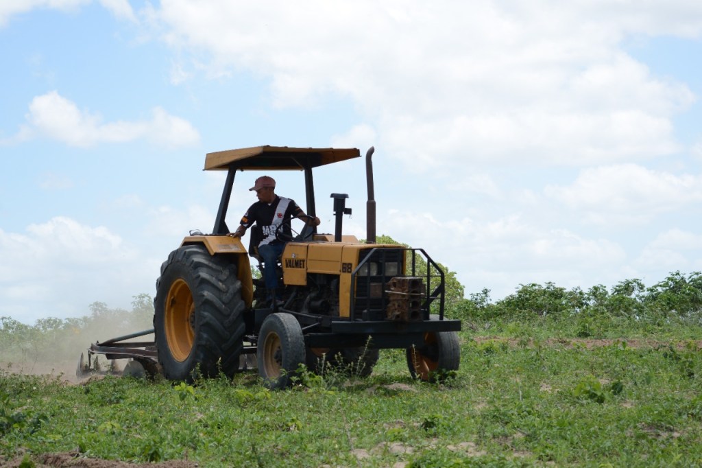 Programa Corte de Terra deste ano colabora para produção de 15 mil toneladas de alimentos; levantamento é da&nbsp;Semape