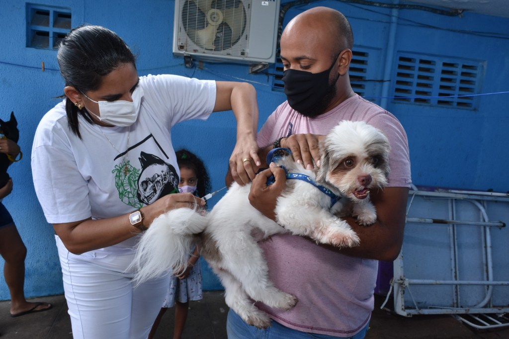 Natal: Campanha antirrábica 2021 para cães e gatos encerra na próxima sexta-feira, 26 de novembro 
