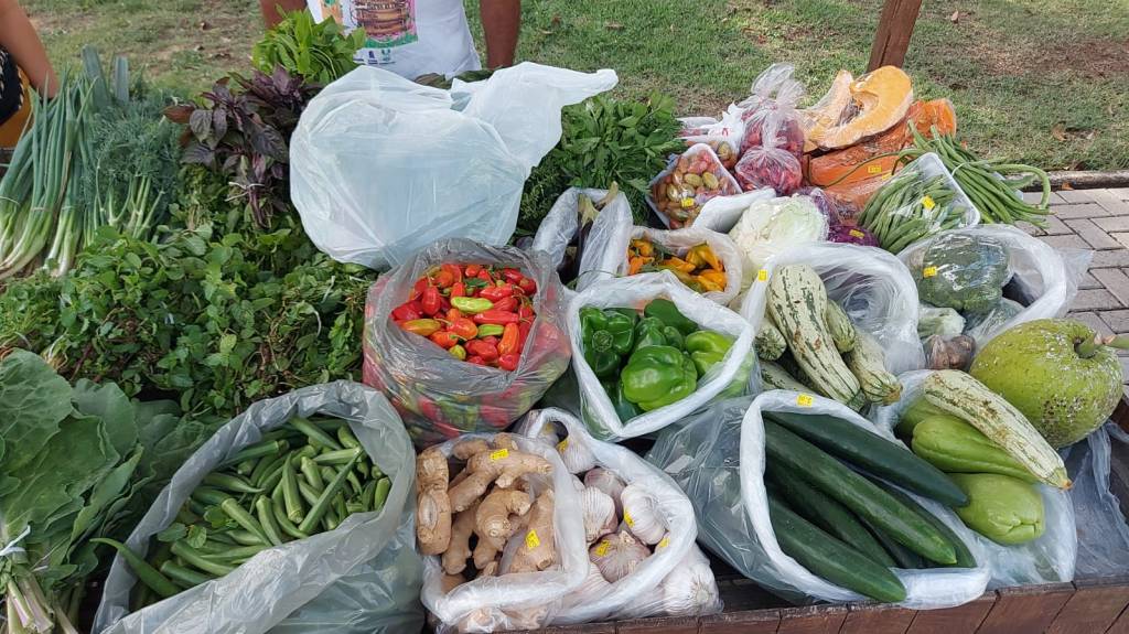 Produtos da agricultura familiar são inseridos em compras indiretas; foram habilitadas cooperativas e associações que fornecerão 32&nbsp;itens