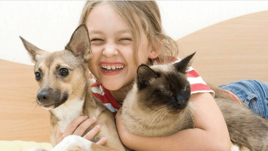 Segundo estudos, crianças com pets desenvolvem habilidades múltiplas; ajuda na formação de competências para a vida&nbsp;adulta