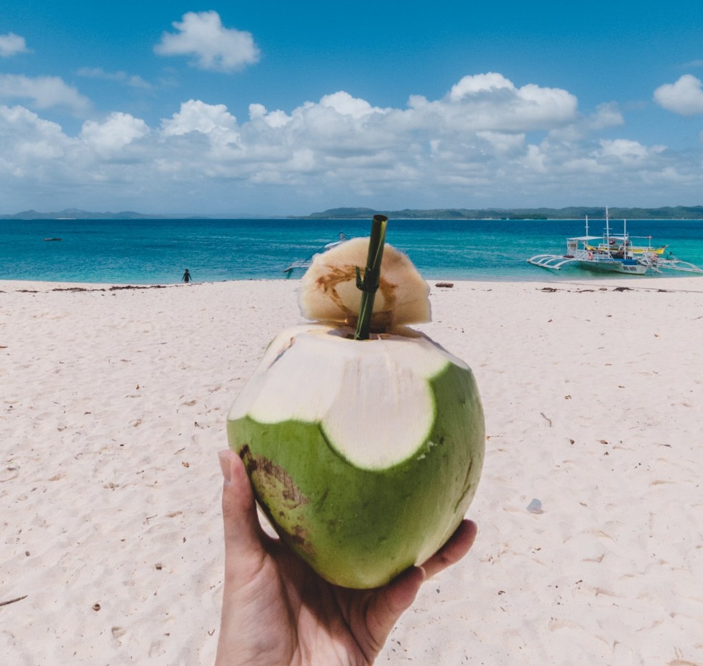 Hidratação no verão: conheça os benefícios da água de coco para o&nbsp;corpo