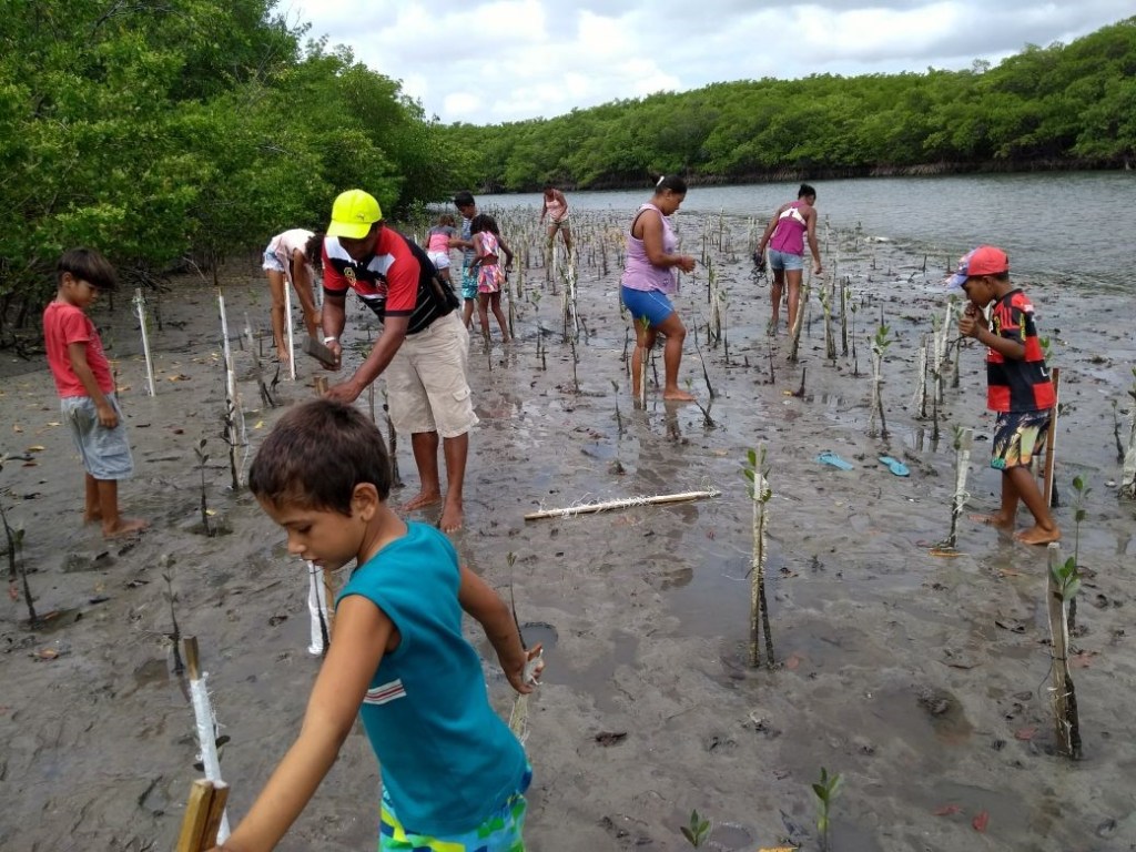 NESTE SÁBADO (20): Projeto ‘Se Essa Rua Fosse Minha’ restaura mangue com plantio de mudas e coleta de lixo na Grande&nbsp;Natal
