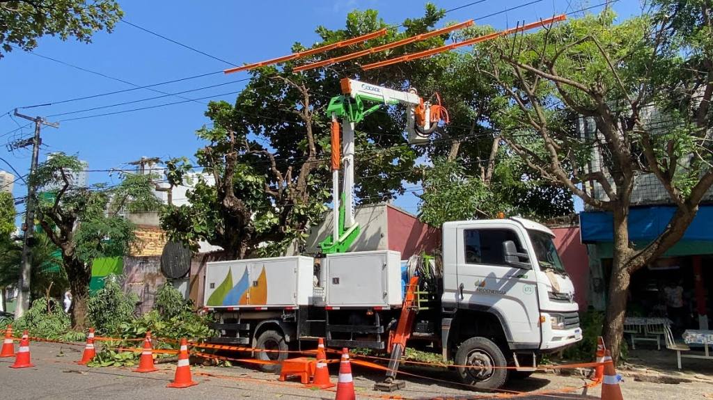Começo da temporada de ventos fortes no Rio Grande do Norte inspira cuidados com a rede&nbsp;elétrica