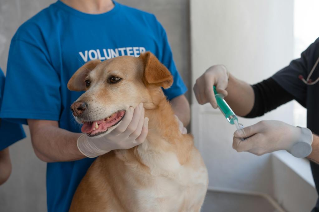 Centro Médico Veterinário da UnP promove vacinação antirrábica e vermifugação de animais; ação especial ocorre nesta quinta&nbsp;(29)