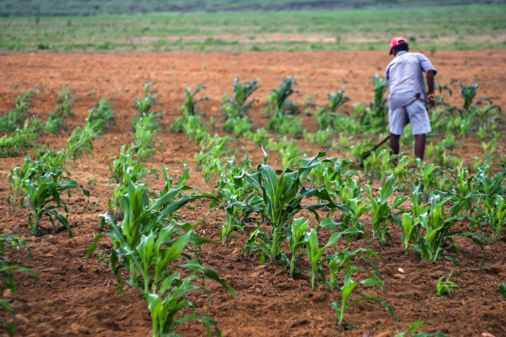 Chuvas trazem alegria para o campo, mas exigem cuidados com energia&nbsp;elétrica