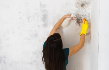 Inverno e período chuvoso intensificam cuidados com mofo e&nbsp;infiltrações