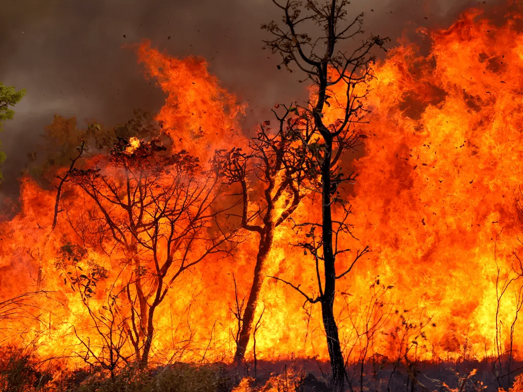 Temporada de ventos pode causar queimadas próximas à rede elétrica, alerta Neoenergia&nbsp;Cosern