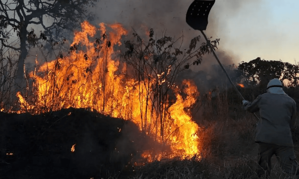 Incêndios e queimadas aumentam no Rio Grande do Norte e podem causar danos à rede elétrica; dados do Painel do Fogo mostram 86 ocorrências no estado entre agosto e&nbsp;setembro
