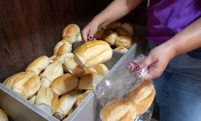 Estudo analisa padrão do pão francês na Região Metropolitana de Natal e destaca padarias com melhor&nbsp;avaliação