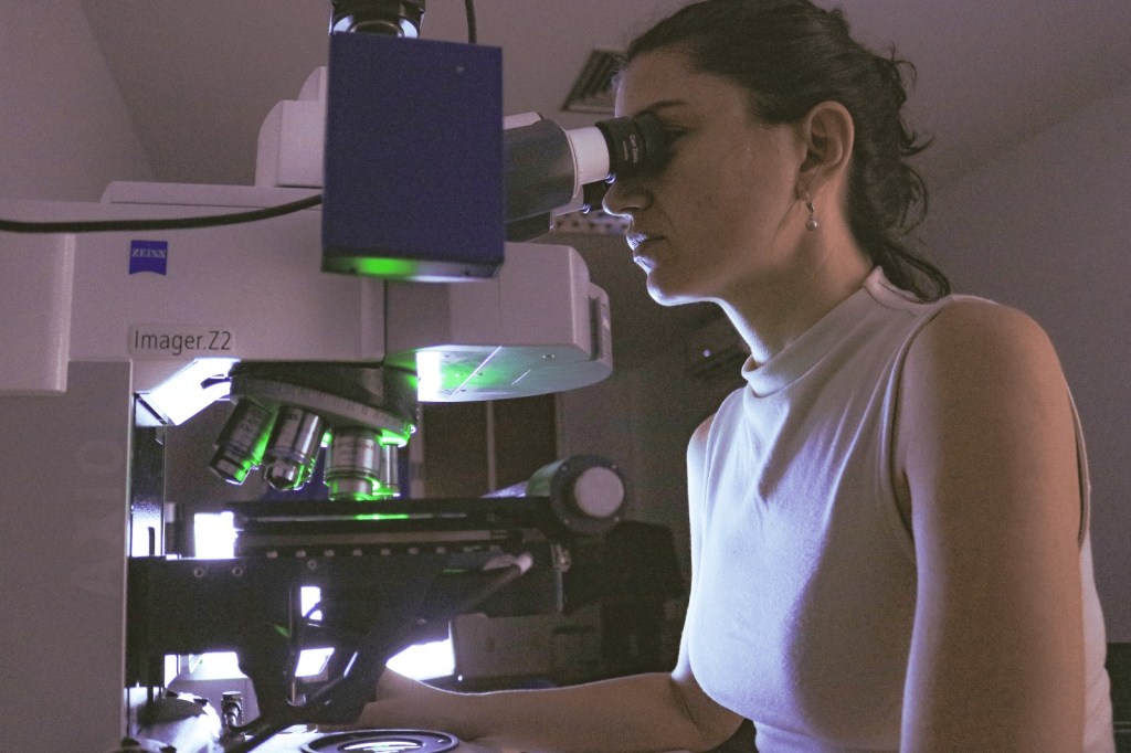 Estudo do Instituto Santos Dumont identifica como proteína regula a duração das memórias no cérebro 